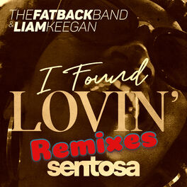 Album cover of I Found Lovin' Remixes