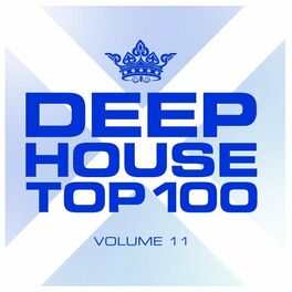 Album cover of Deephouse Top 100, Vol. 11