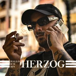 Album cover of Hallo ich bin Herzog