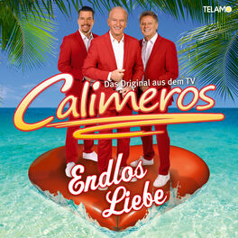 Album cover of Endlos Liebe