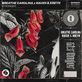 Album cover of Stronger