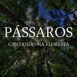 Album cover of Pássaros Cantando na Floresta
