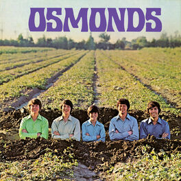 Album cover of Osmonds