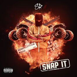 Album cover of Snap It