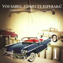 Album cover of Tributo A Los Fabulosos Cadillacs