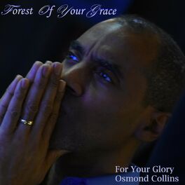 Album cover of THE FOREST OF YOUR GRACE