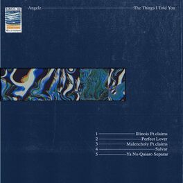 Album cover of The Things I Told You
