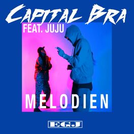 Album cover of Melodien