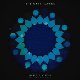 Album cover of Blue Flower Instrumentals