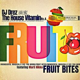 Album cover of The House Vitamin Rx.4