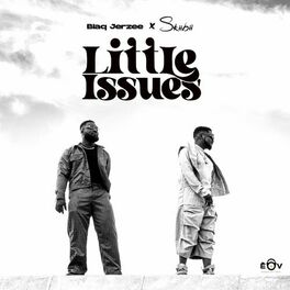 Album cover of Little Issues