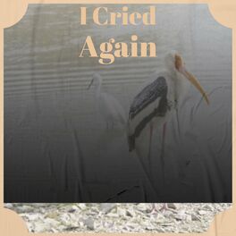 Album cover of I Cried Again
