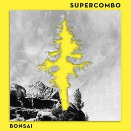 Album cover of Bonsai