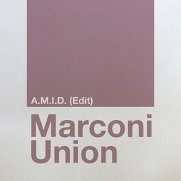 Album cover of A.M.I.D. (Edit)