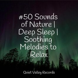 Album cover of #50 Sounds of Nature | Deep Sleep | Soothing Melodies to Relax