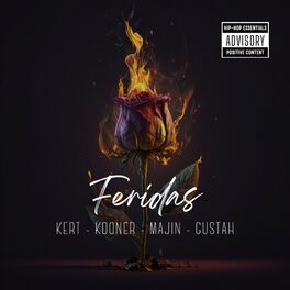 Album cover of Feridas