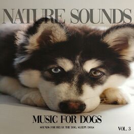 Nature sounds best sale for dogs