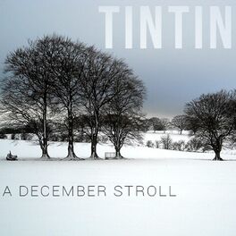 Album cover of A December Stroll