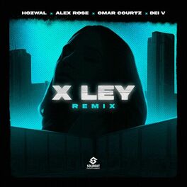 Album cover of X Ley (feat. Dei V) (Remix)