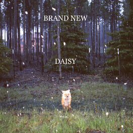 Album cover of Daisy ( Version)