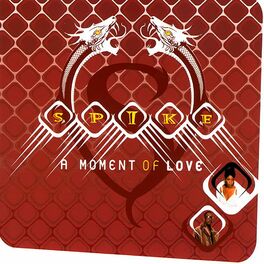 Album cover of A Moment of Love