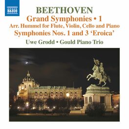 Album cover of Beethoven: Symphonies Nos. 1 & 3 (Arr. J. N. Hummel for Flute & Piano Trio)