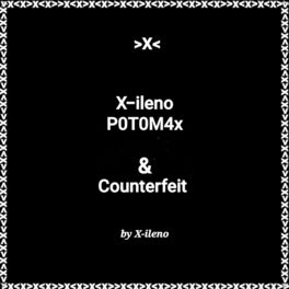 Album cover of P0t0m4x (Remix 2024)