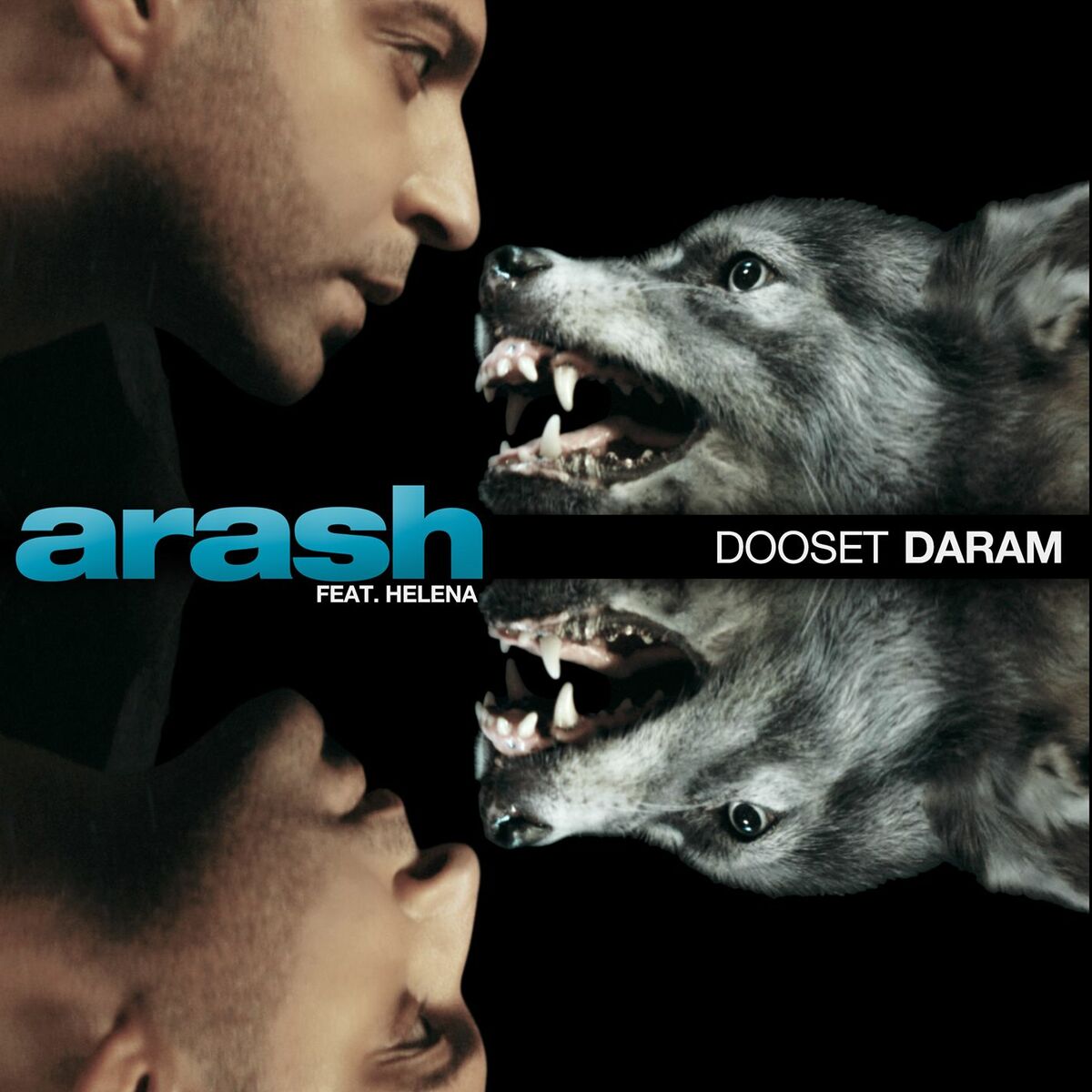 Arash: albums, songs, playlists | Listen on Deezer