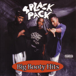 Album cover of Big Booty Hits