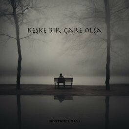 Album cover of Keşke Bir Çare Olsa