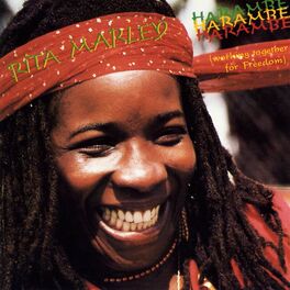 Album cover of Harambe