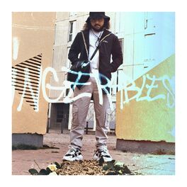 Album cover of Ingérables