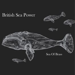 Album cover of Sea of Brass
