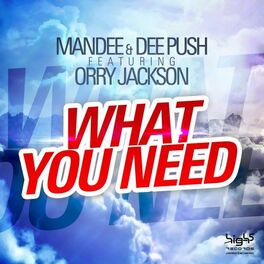 Album cover of What You Need