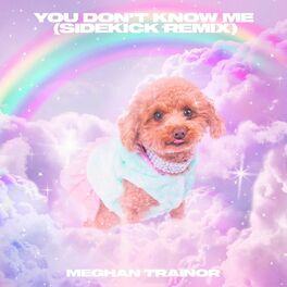 Album cover of You Don't Know Me (Sidekick Remix)