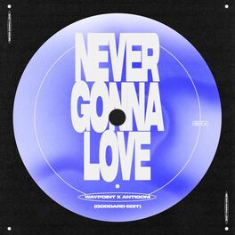 Album cover of Never Gonna Love (goddard. Edit)