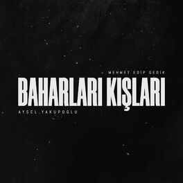 Album cover of Baharları Kışları