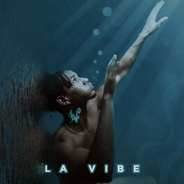 Album cover of La Vibe