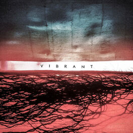 Album cover of Vibrant