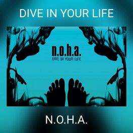 Album cover of DIVE IN YOUR LIFE