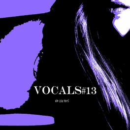 Album cover of Vocals #13