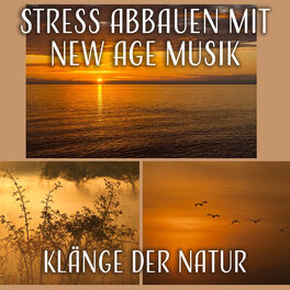Album cover of Stress Abbauen mit New Age Musik: Klänge der Natur (Geräusche der Vögel, Meereswellen) Beruhigende Instrumentalmusik (Flöte, Klavi