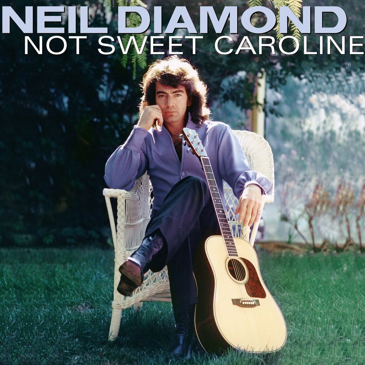 Neil Diamond: albums, songs, playlists | Listen on Deezer