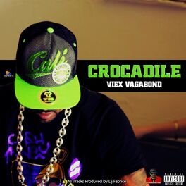 Album cover of Viex Vagabond