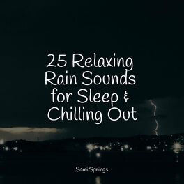 Album cover of 25 Relaxing Rain Sounds for Sleep & Chilling Out