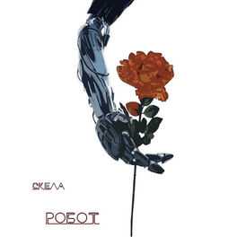 Album cover of Робот