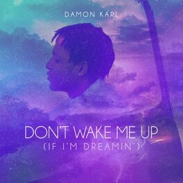 Album cover of Don't Wake Me Up (If I'm Dreaming)