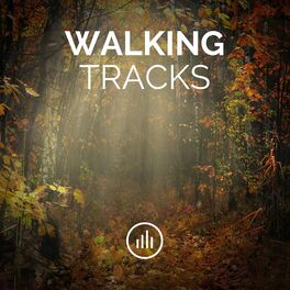 Album cover of Walking Tracks