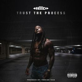 Album cover of Trust the Process