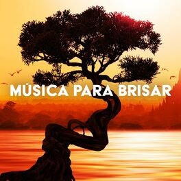 Album cover of Música para Brisar